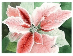 "Poinsettia" - 11" x 14" watercolor